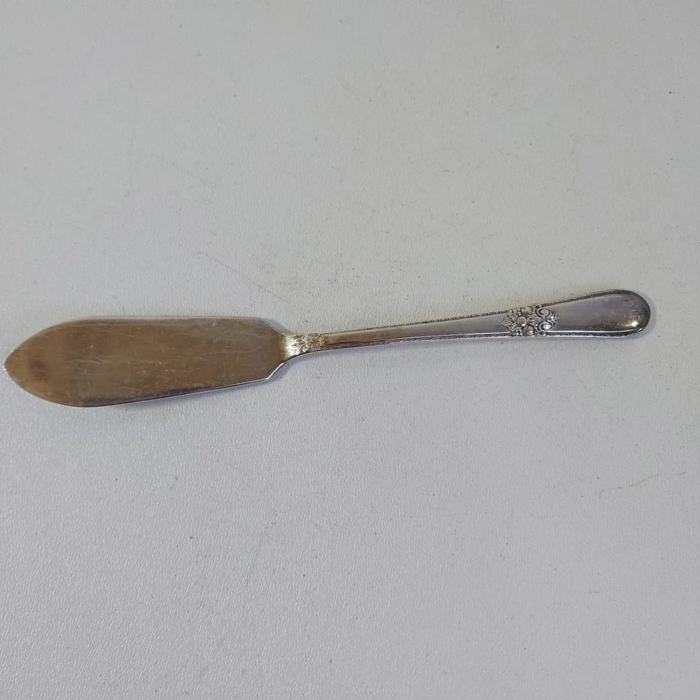 Adoration by 1847 Rogers Bros.‎ IS 1930 Butter Knife Silverware flatware